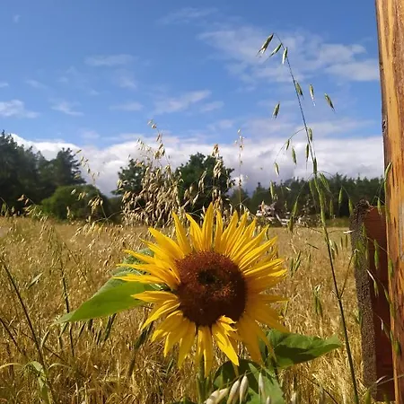 Lodge Drewniany Na Wsi Nowa Karczma (Nowa Karczma)